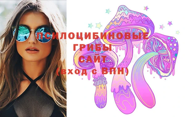 ГАЛЛЮЦИНОГЕННЫЕ ГРИБЫ Вязники