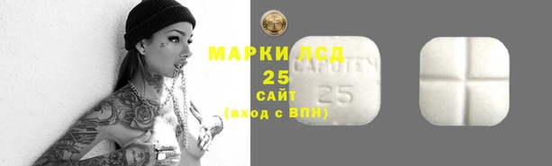ГАЛЛЮЦИНОГЕННЫЕ ГРИБЫ Вязники