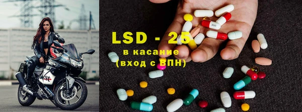 ГАЛЛЮЦИНОГЕННЫЕ ГРИБЫ Вязники