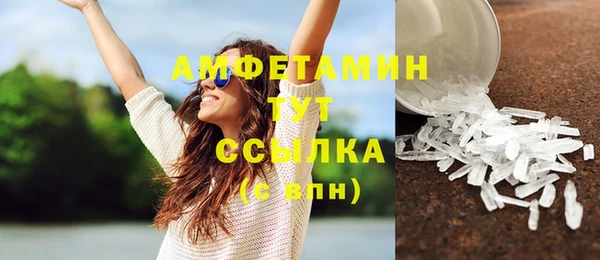 ГАЛЛЮЦИНОГЕННЫЕ ГРИБЫ Вязники
