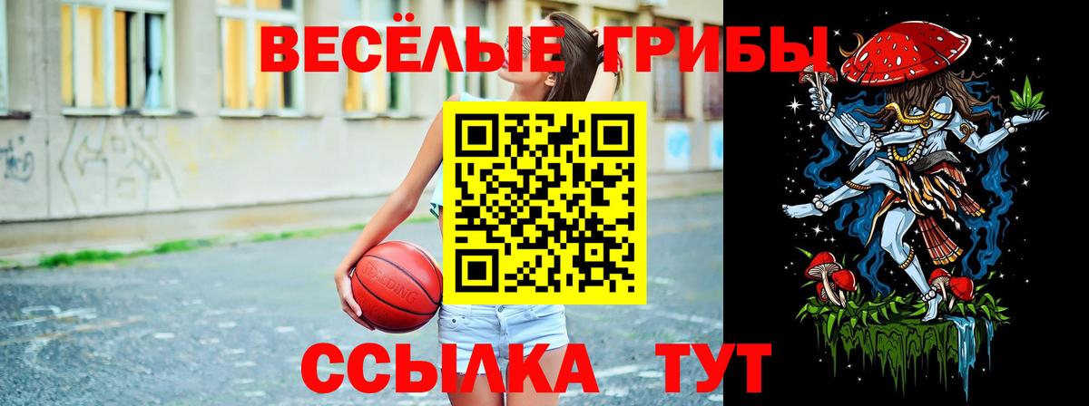 Псилоцибиновые грибы Psilocybine cubensis Архангельск